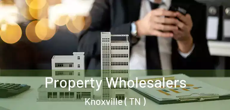  Property Wholesalers Knoxville ( TN )