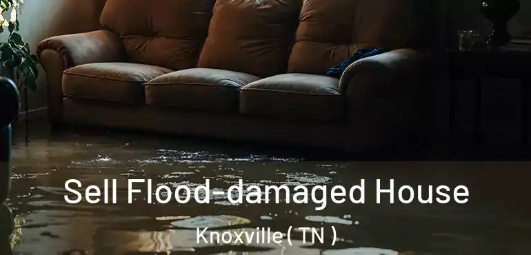  Sell Flood-damaged House Knoxville ( TN )