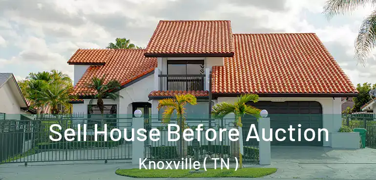 Sell House Before Auction Knoxville ( TN )